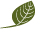 meritus-leaf-only-green-35px.png